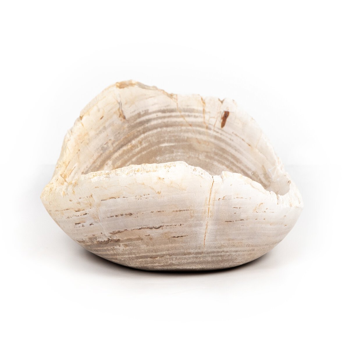 Leda Petrified Wood Bowl