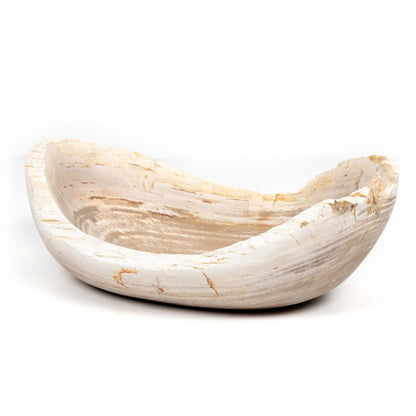 Leda Petrified Wood Bowl