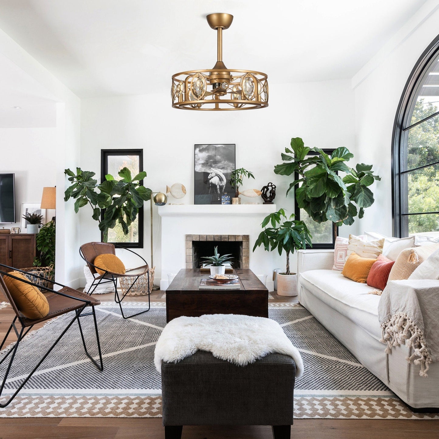 Ventilateur de plafond avec abat-jour en cristal moderne, cage et télécommande (22 pouces)