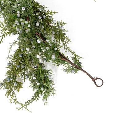 Gouronne de genévrier