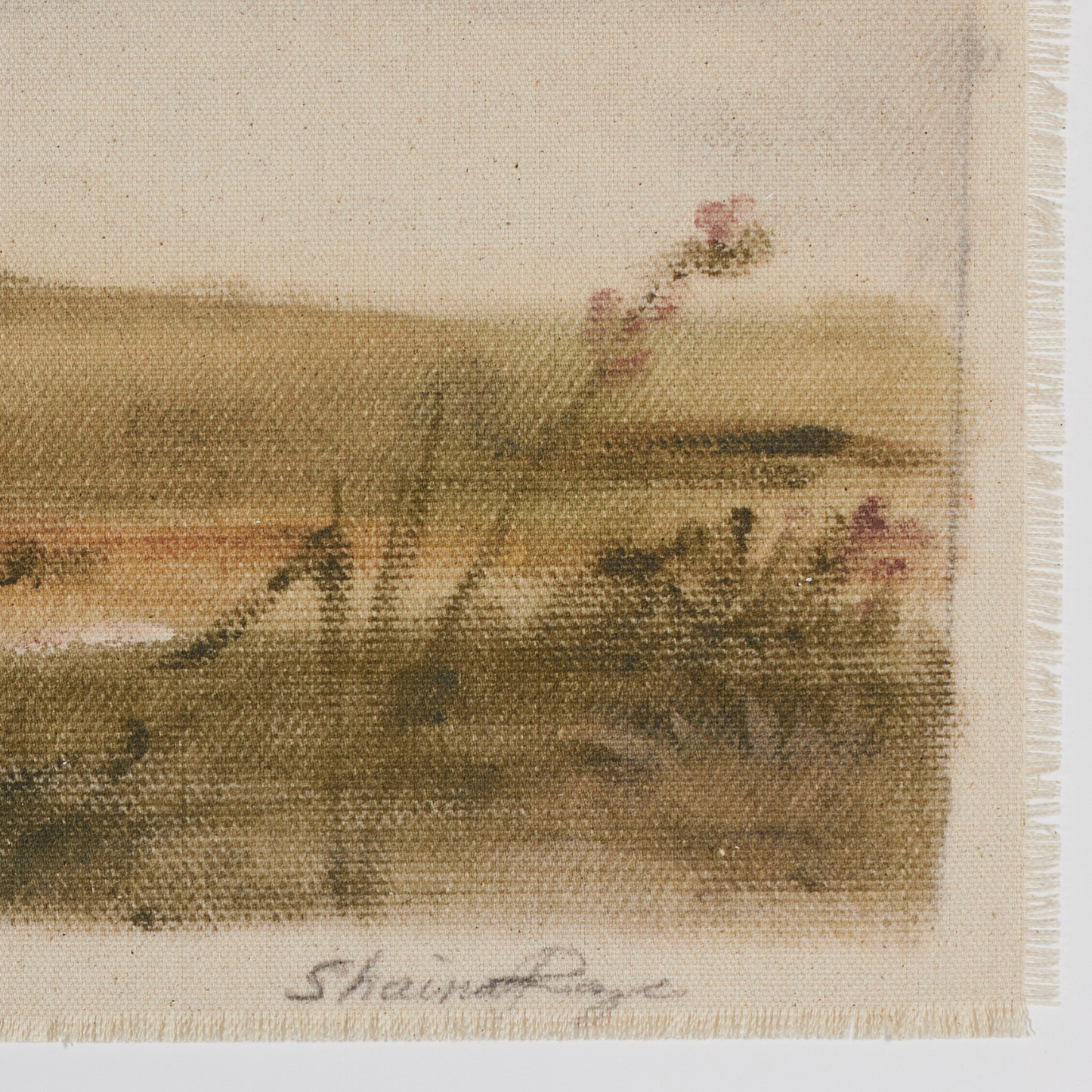 Un nouveau départ par Shaina Page