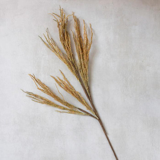 Tige de roseau de marais