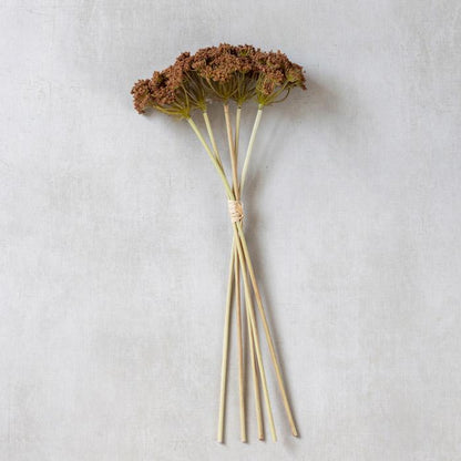 Tige d'Achillée millefeuille