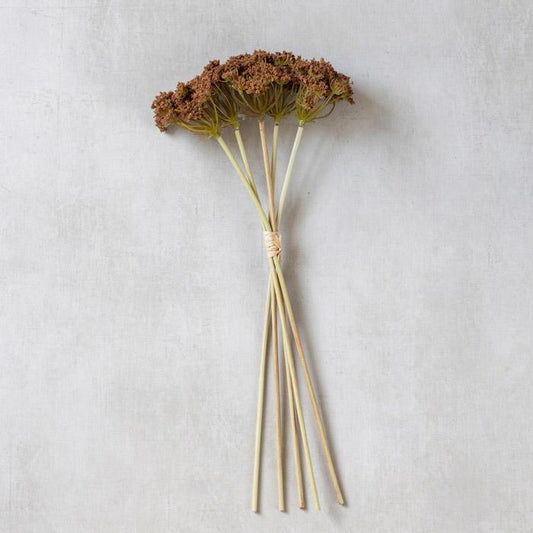 Tige d'Achillée millefeuille