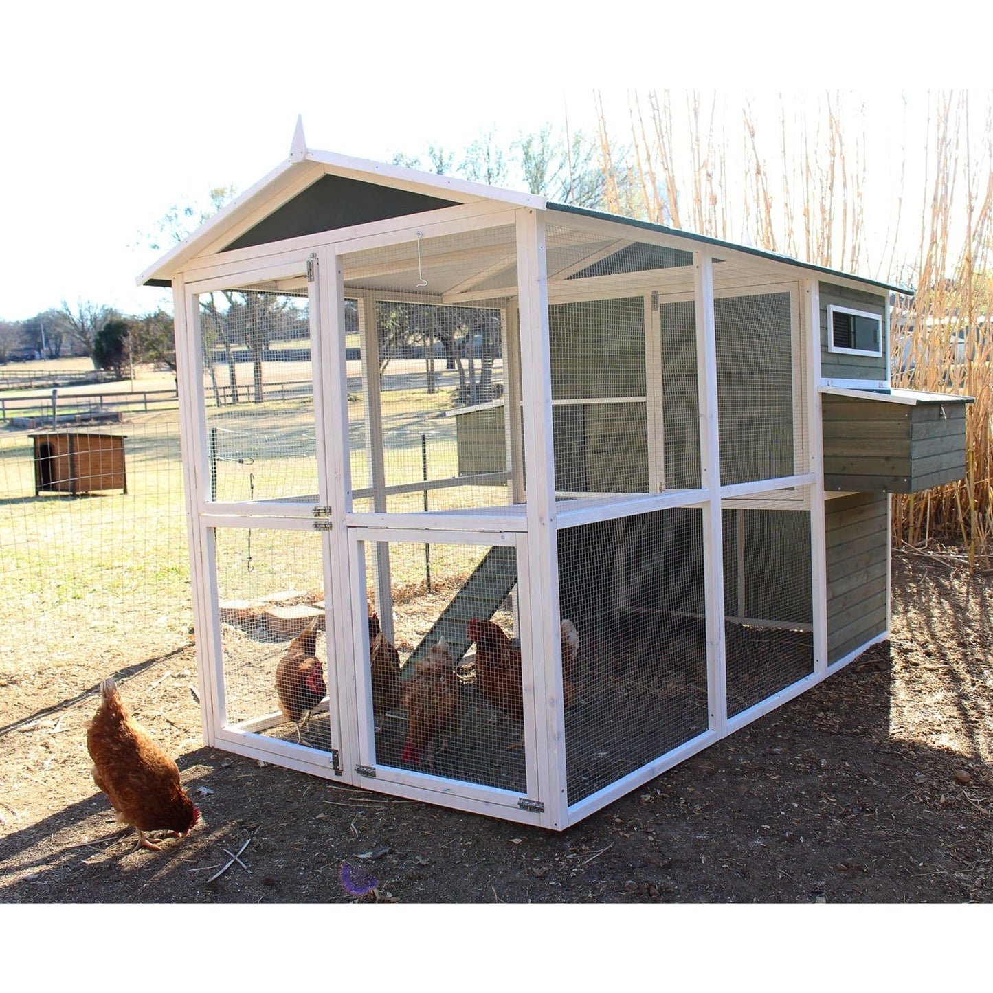 Zylina Big Green Chicken Coop