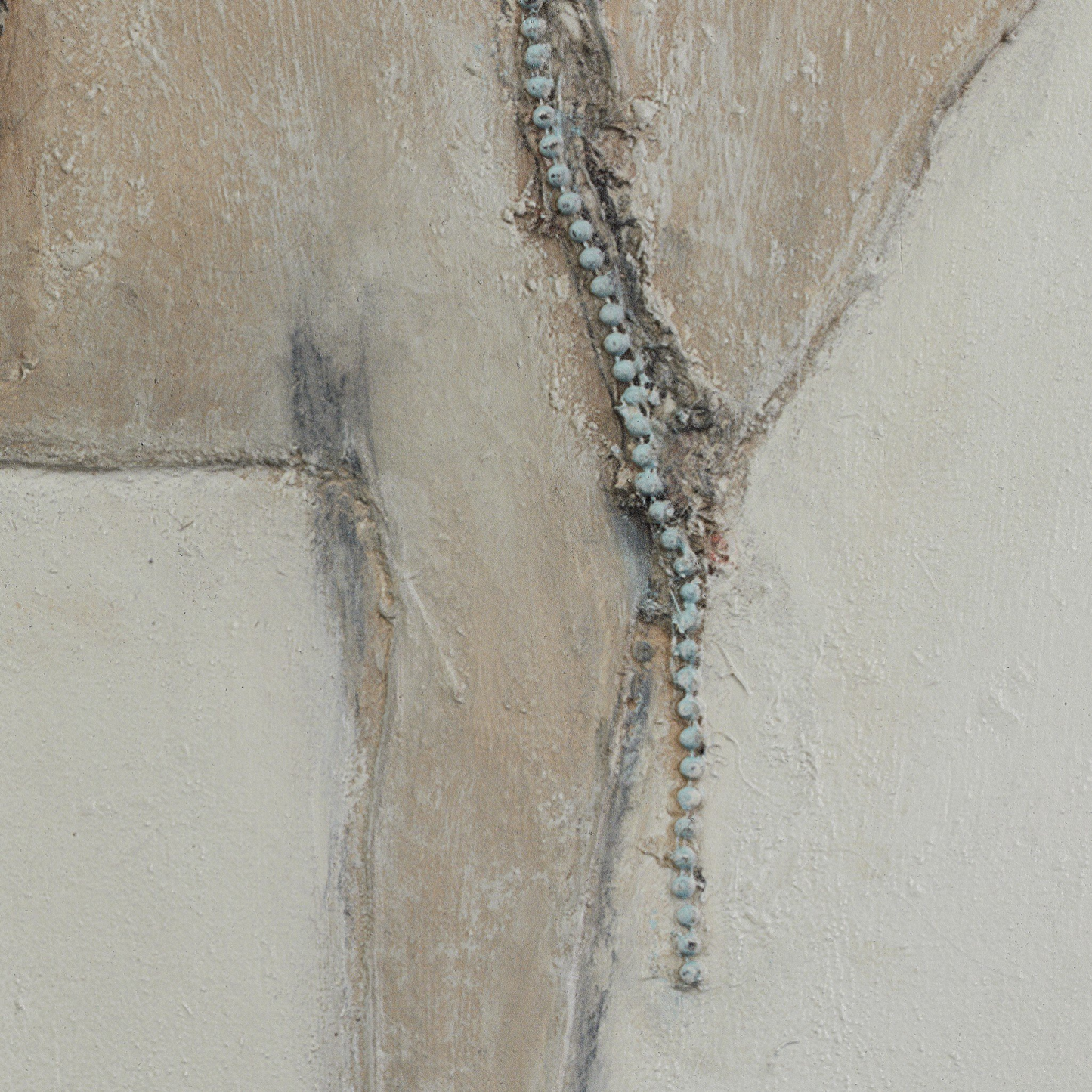 Burro Dia de Paul Meyer