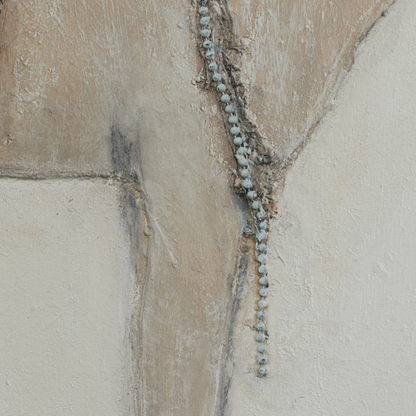 Burro Dia de Paul Meyer