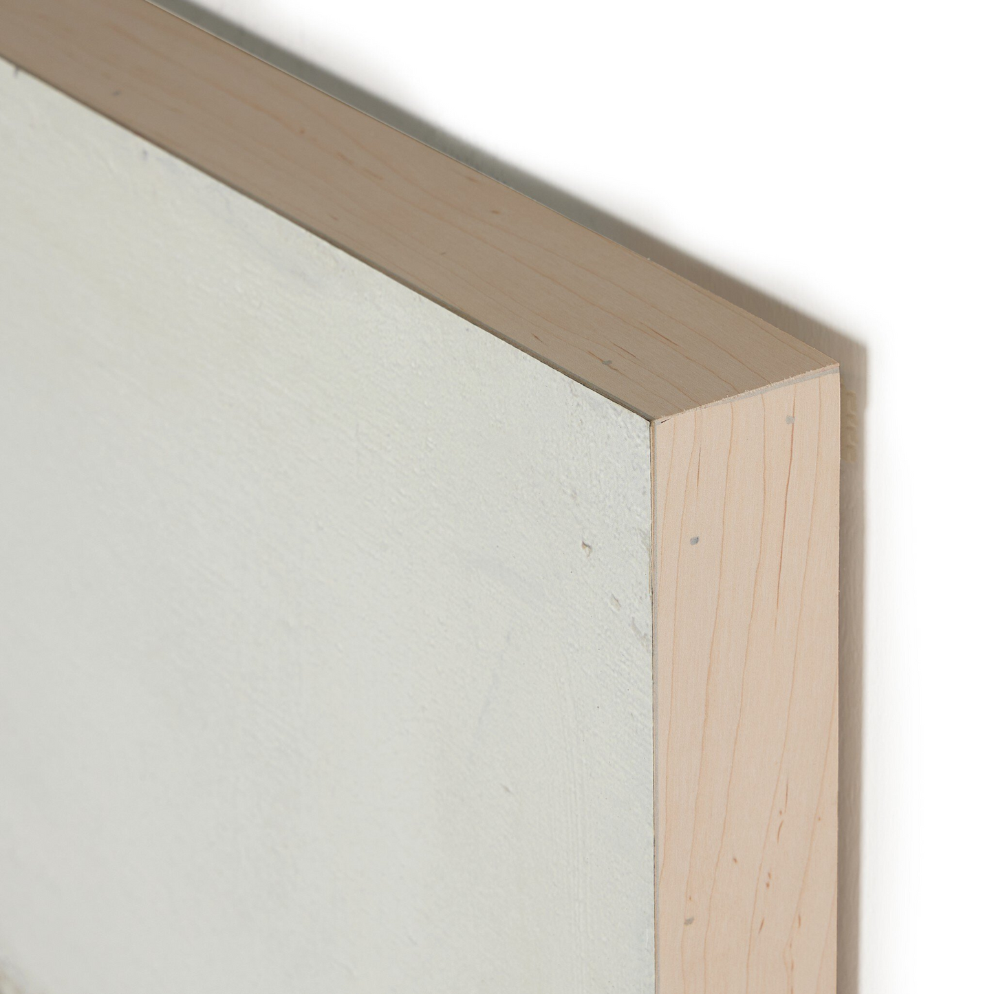 Burro Dia de Paul Meyer