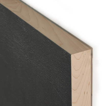 Burro Noche de Paul Meyer