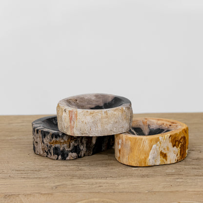 Savonnière en bois pétrifié Jed