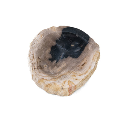 Savonnière en bois pétrifié Jed