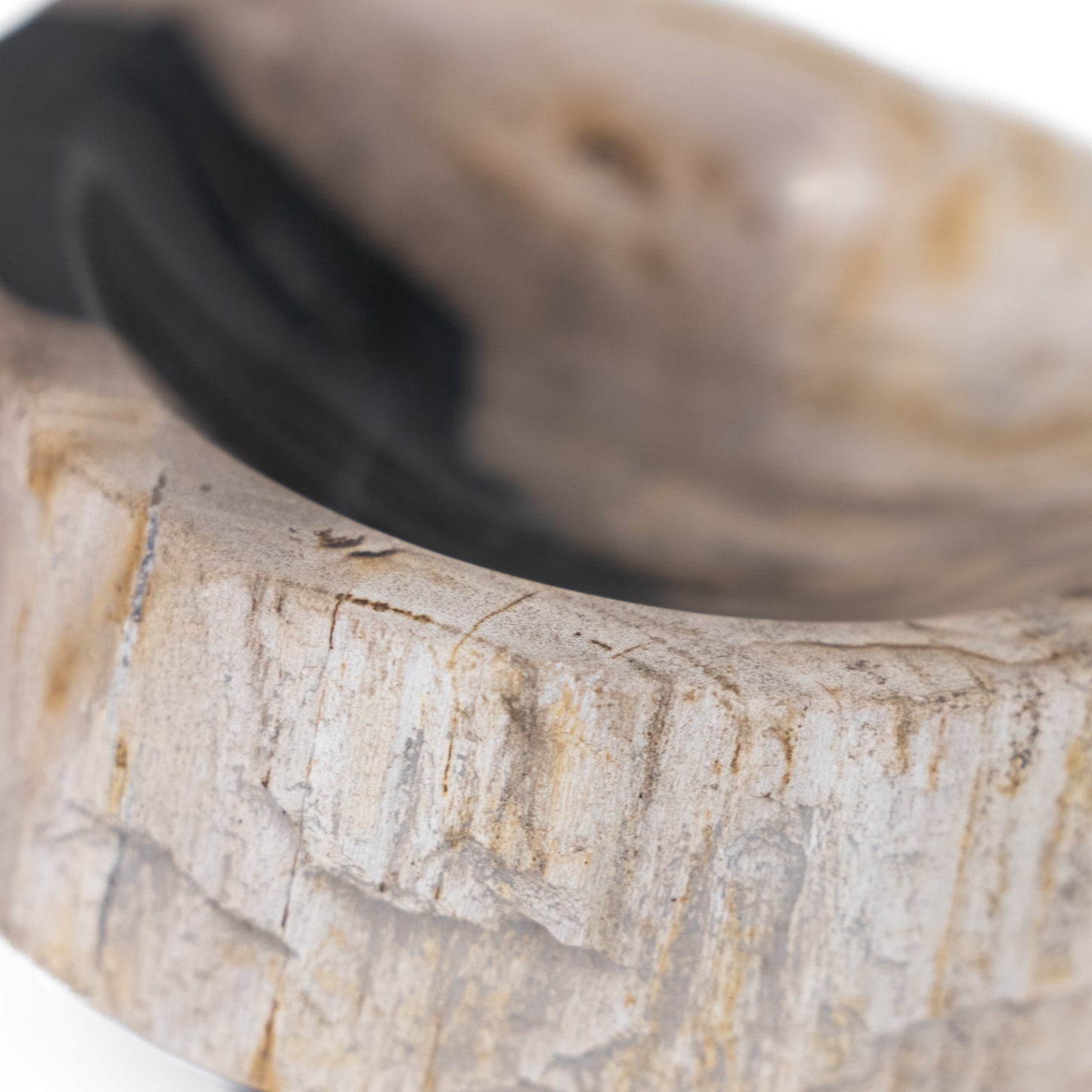 Savonnière en bois pétrifié Jed