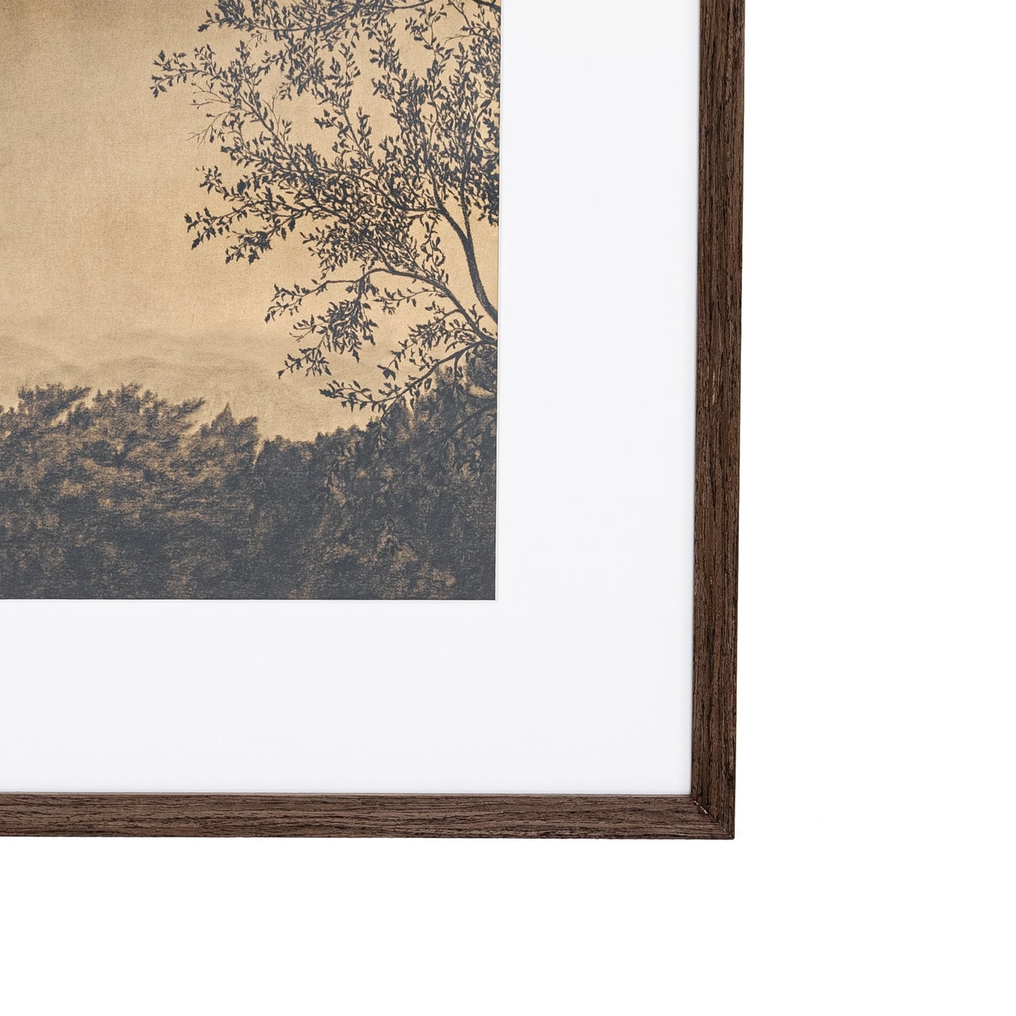 À travers les arbres V par Tenaya Wickstrand, 19 x 23, cadre espresso