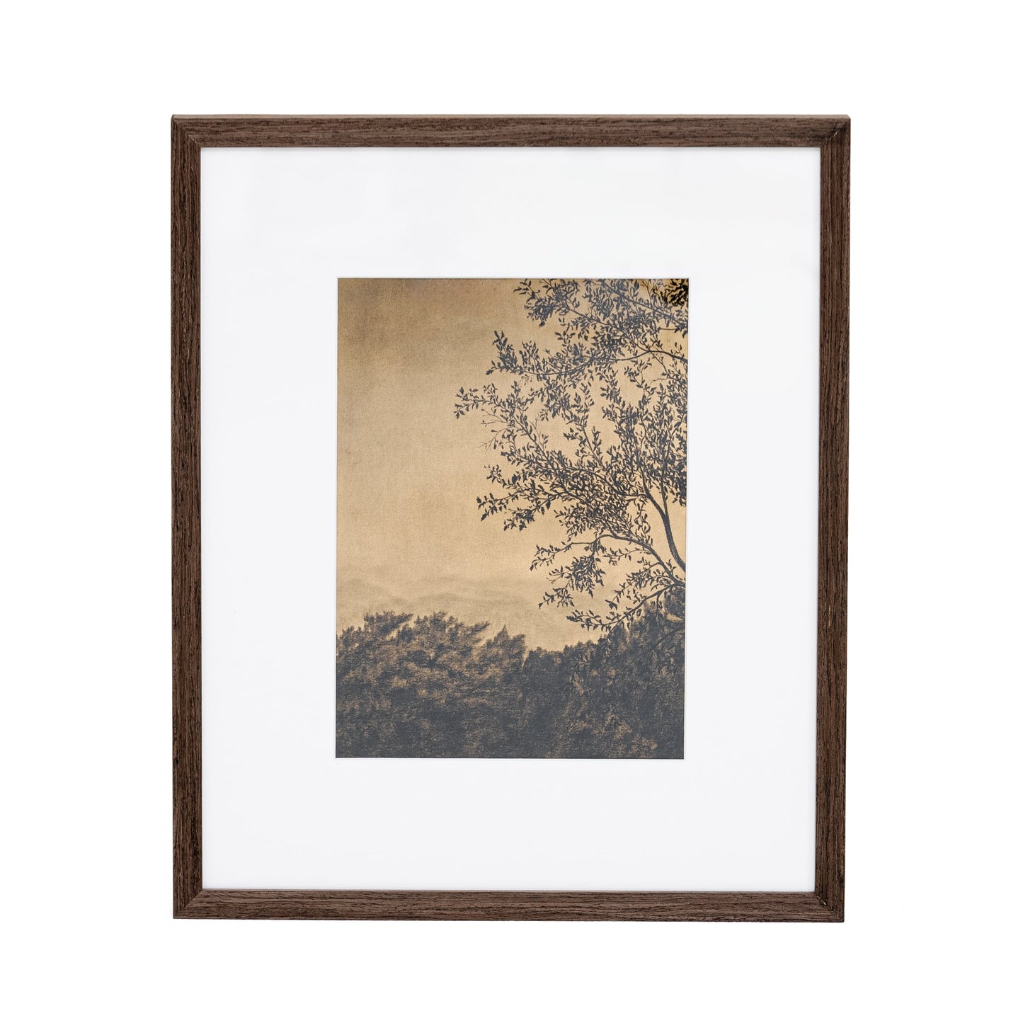 À travers les arbres V par Tenaya Wickstrand, 19 x 23, cadre espresso