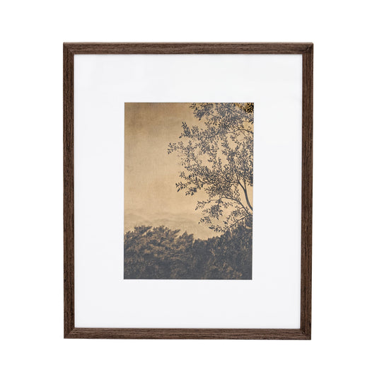 À travers les arbres V par Tenaya Wickstrand, 19 x 23, cadre espresso