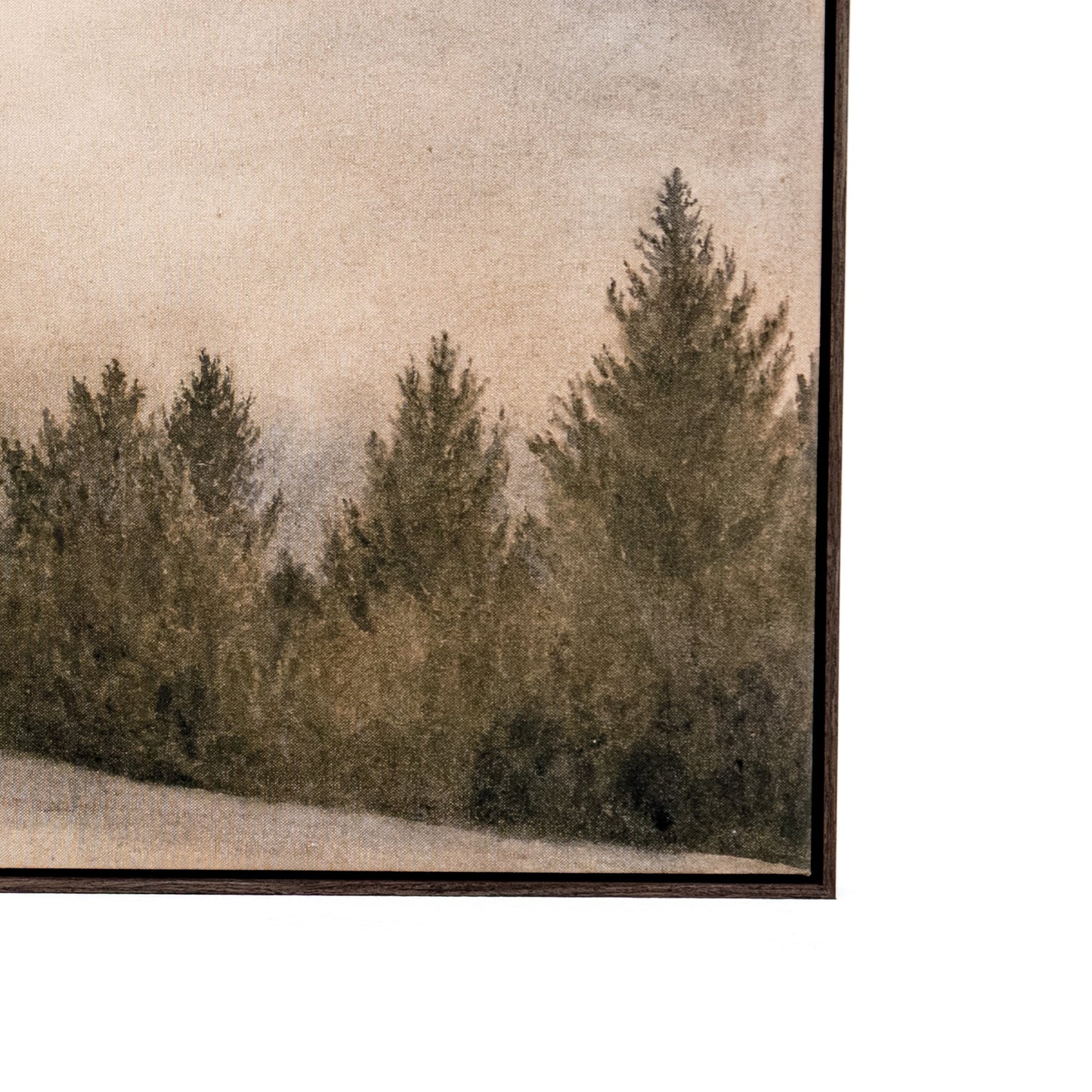 Of The Woods de Tenaya Wickstrand, 41 x 26.5, cadre flottant Espresso