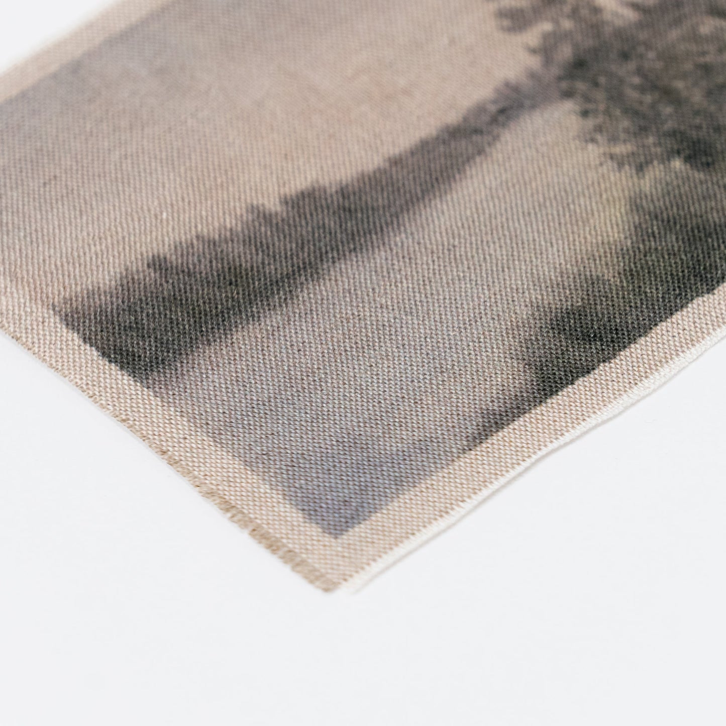 Wayback VI de Tenaya Wickstrand, 17 x 15, cadre en chêne blanc