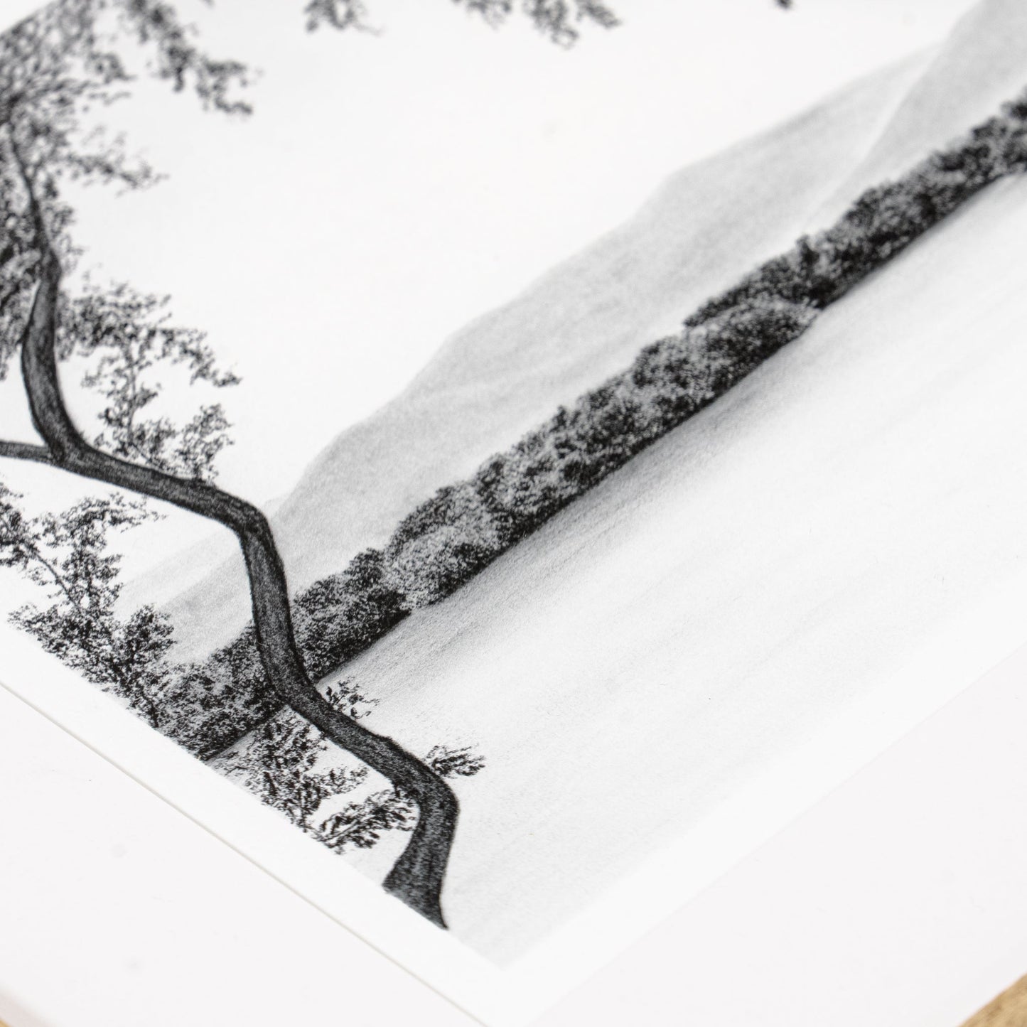 Amist II de Tenaya Wickstrand, 13 x 15, cadre en chêne blanc