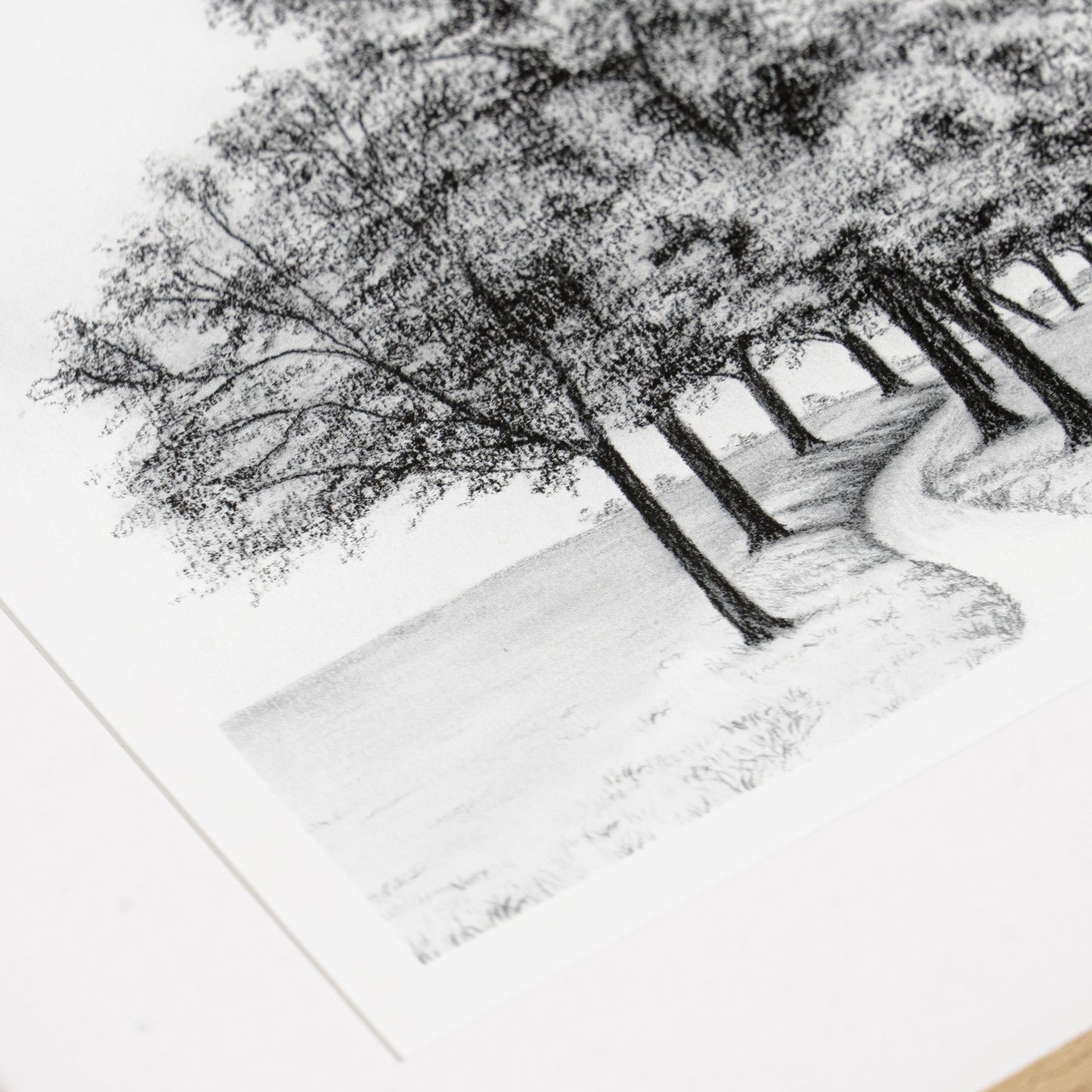 Amist III de Tenaya Wickstrand, 13 x 15, cadre en chêne blanc