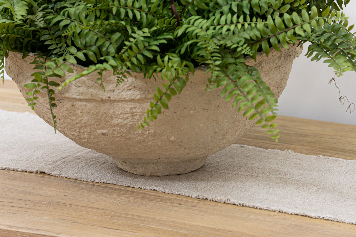 Boston Fern, inscription sans rendez-vous, 11h