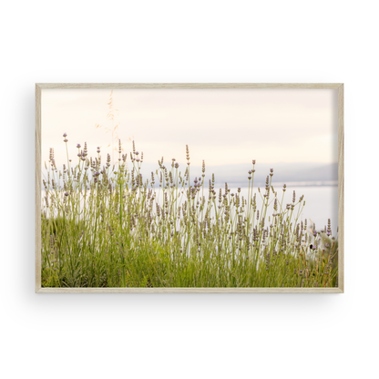 Été sans fin par Carly Tabak