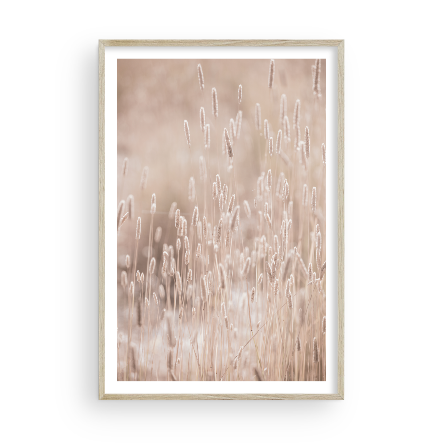 Golden Meadow de Carly Tabak