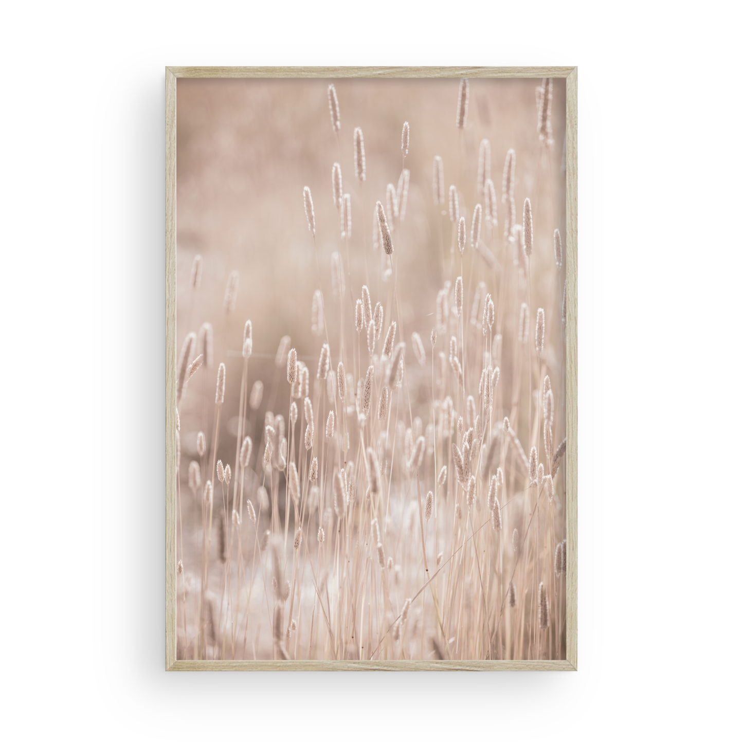 Golden Meadow de Carly Tabak