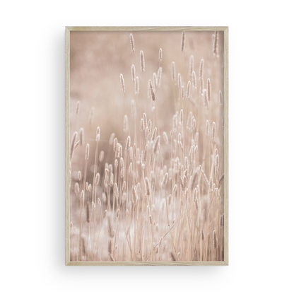 Golden Meadow de Carly Tabak