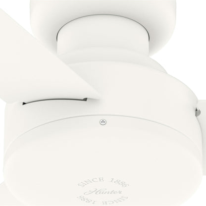 Pergola/gazebo d'extérieur en acier de 3m x 4m, auvent de patio avec trous de drainage pour jardin, terrasse de piscine, cour arrière