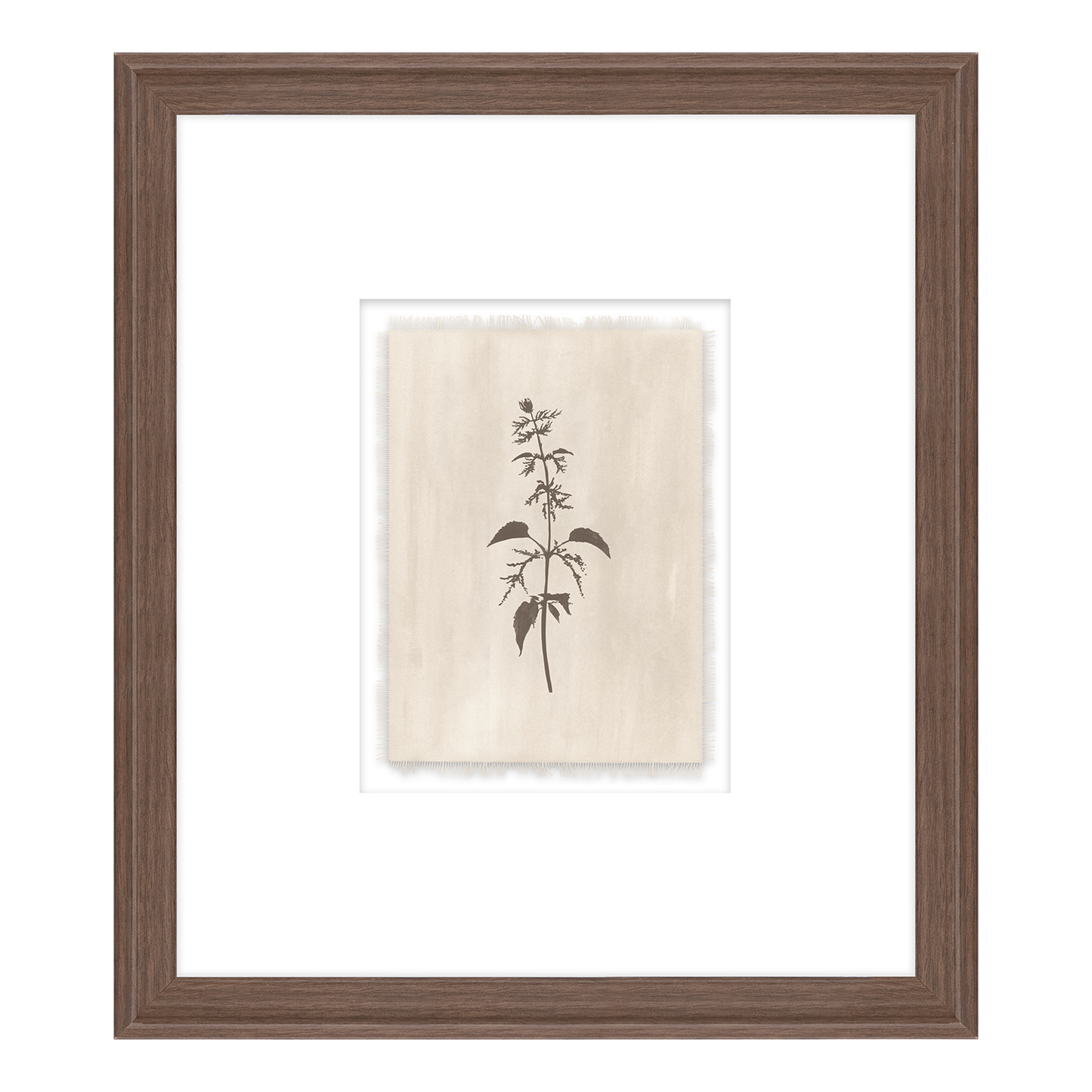 Pure Salt x Leftbank Art In Bloom III