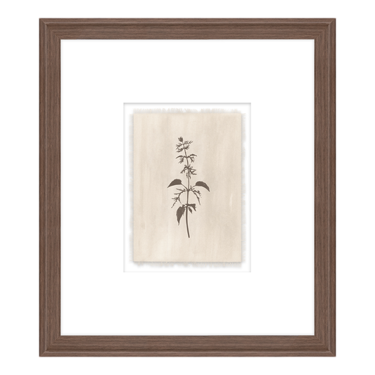 Pure Salt x Leftbank Art In Bloom III