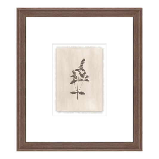 Pure Salt x Leftbank Art In Bloom IV