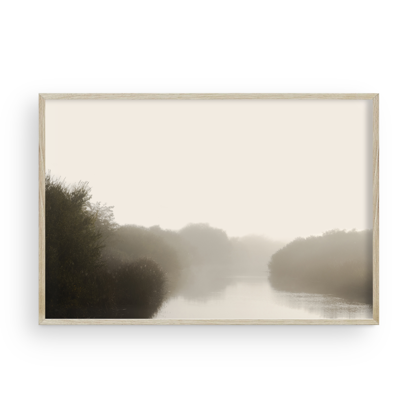 Les matins brumeux par Caroline Pacula