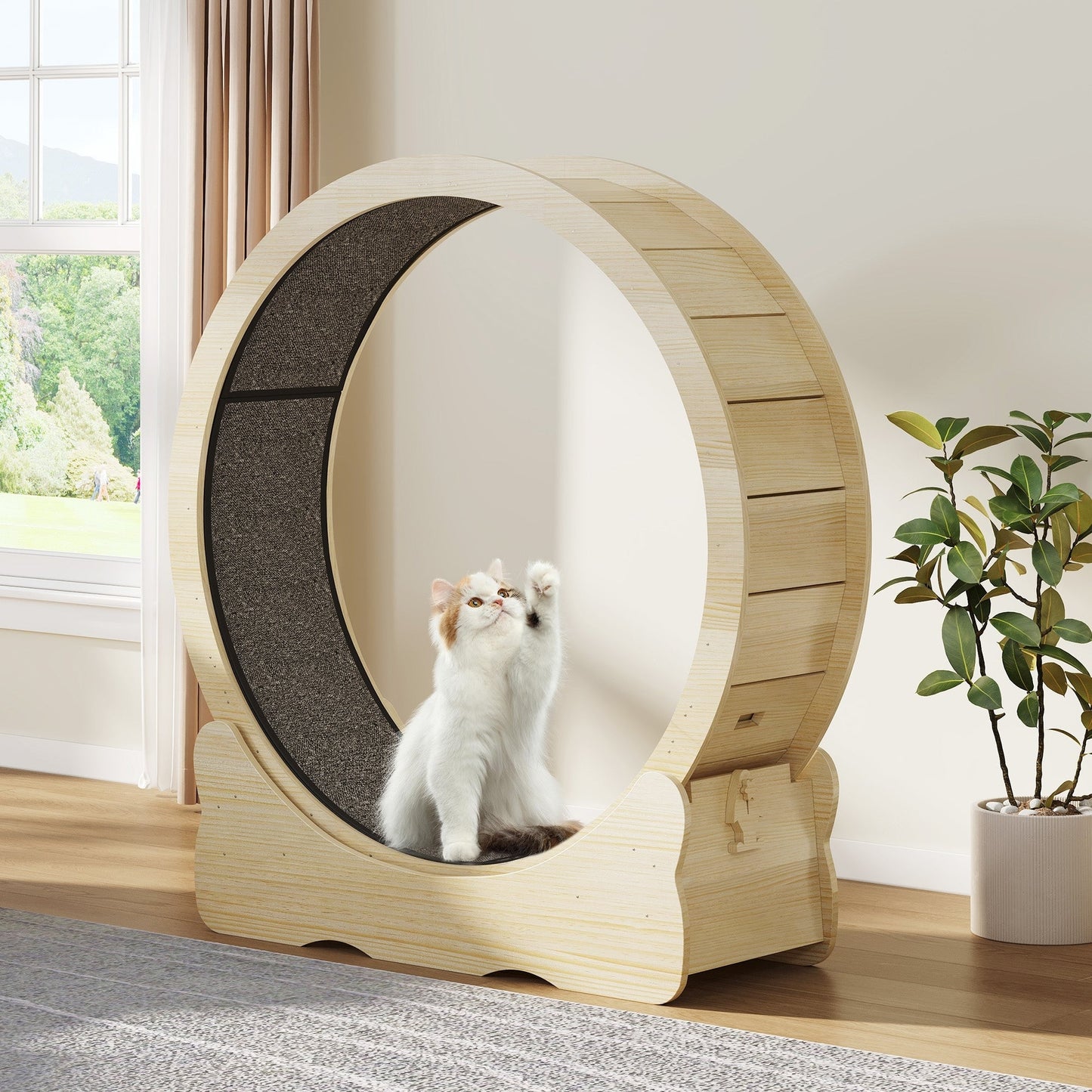 Moasis 43.3 pouces, grand tapis roulant en bois pour chat, avec piste de course recouverte de tapis.