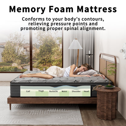 Modland Matelas hybride à ressorts ensachés de 35,5 cm (14 pouces) à revêtement européen, densité moyenne, livré dans une boîte