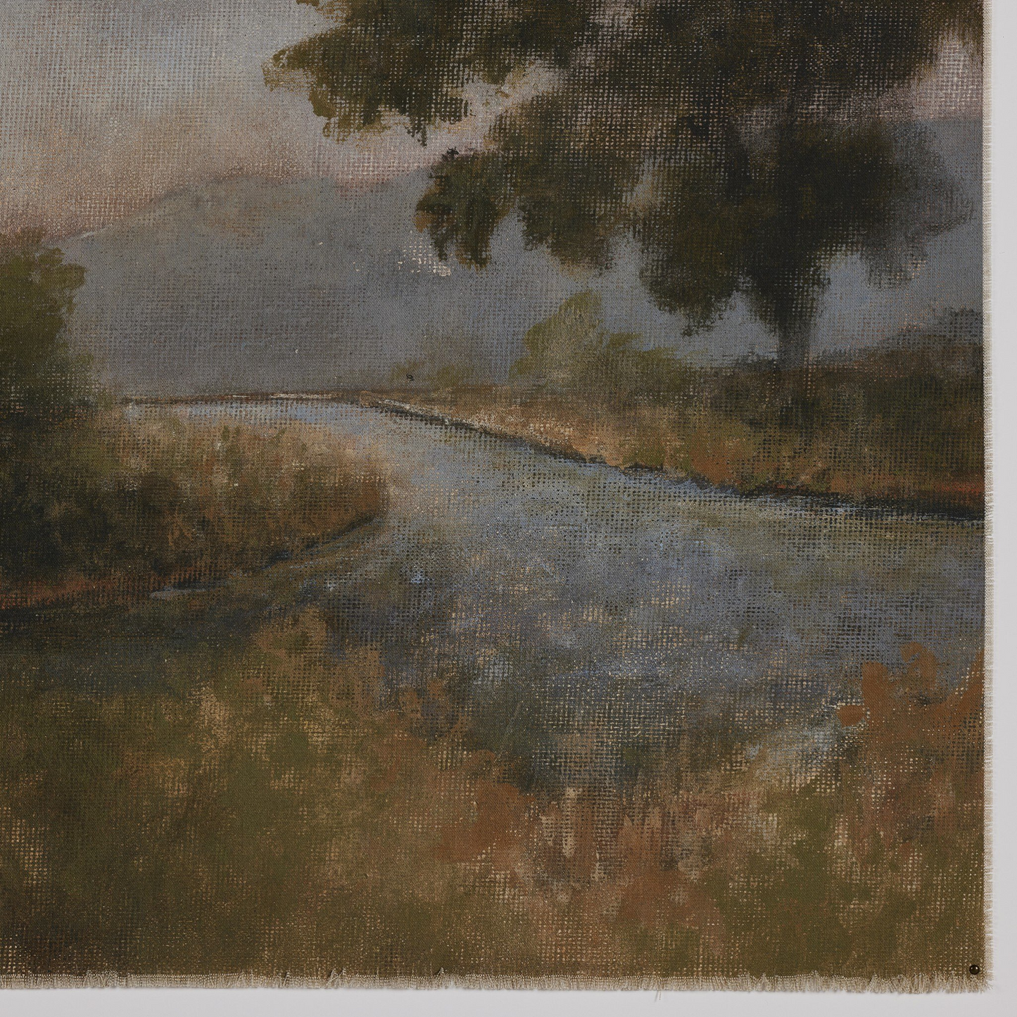 Morning Glory par Aileen Fitzgerald