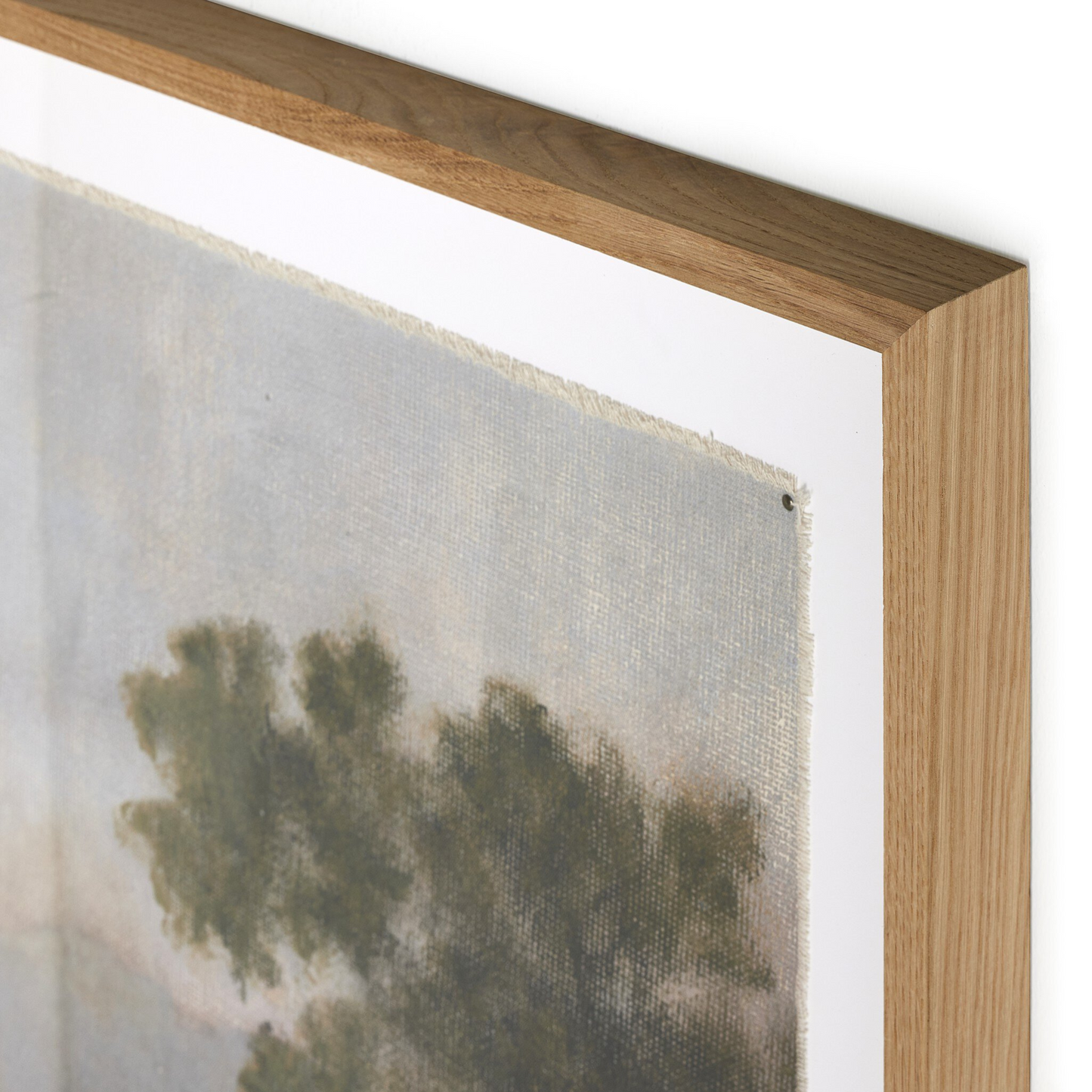 Morning Glory par Aileen Fitzgerald