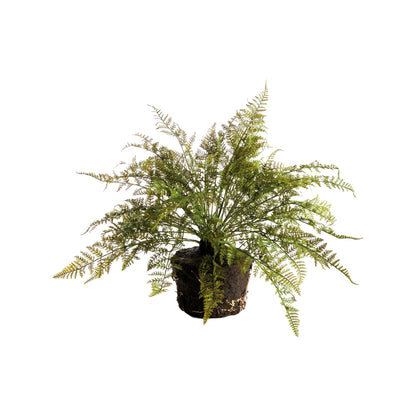 Soft Fern Drop-In 18.5