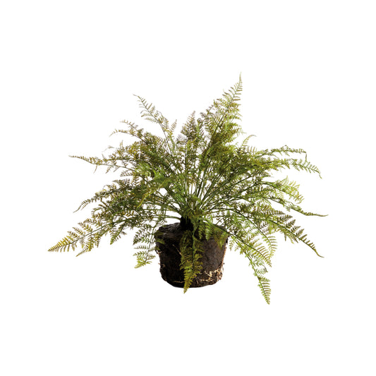 Soft Fern Drop-In 18.5