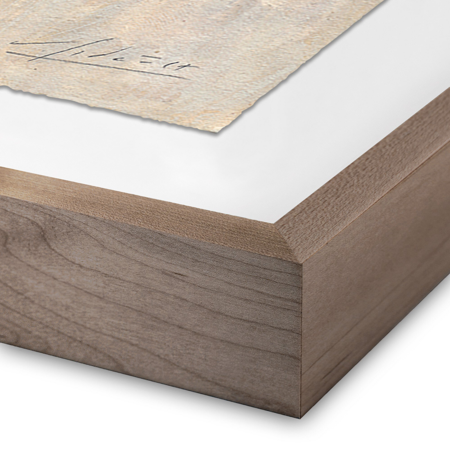 N° 12 par Valeria Sidanez