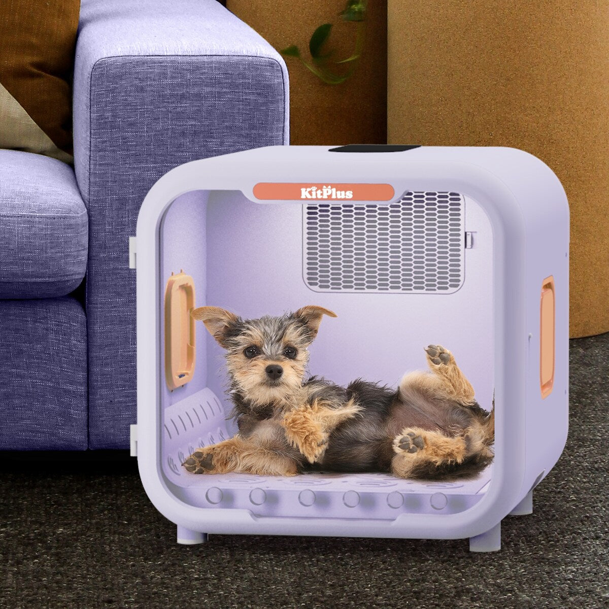 Boîte de séchage pour animaux de compagnie, ultra silencieuse, capacité de 6L, pour chats et petits chiens
