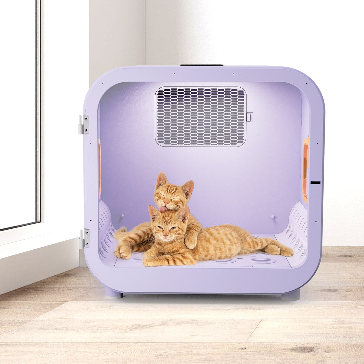 Boîte de séchage pour animaux de compagnie, ultra silencieuse, capacité de 6L, pour chats et petits chiens