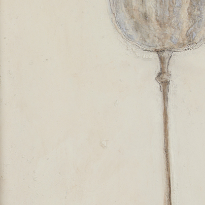 Poppy Crema par Paul Meyer