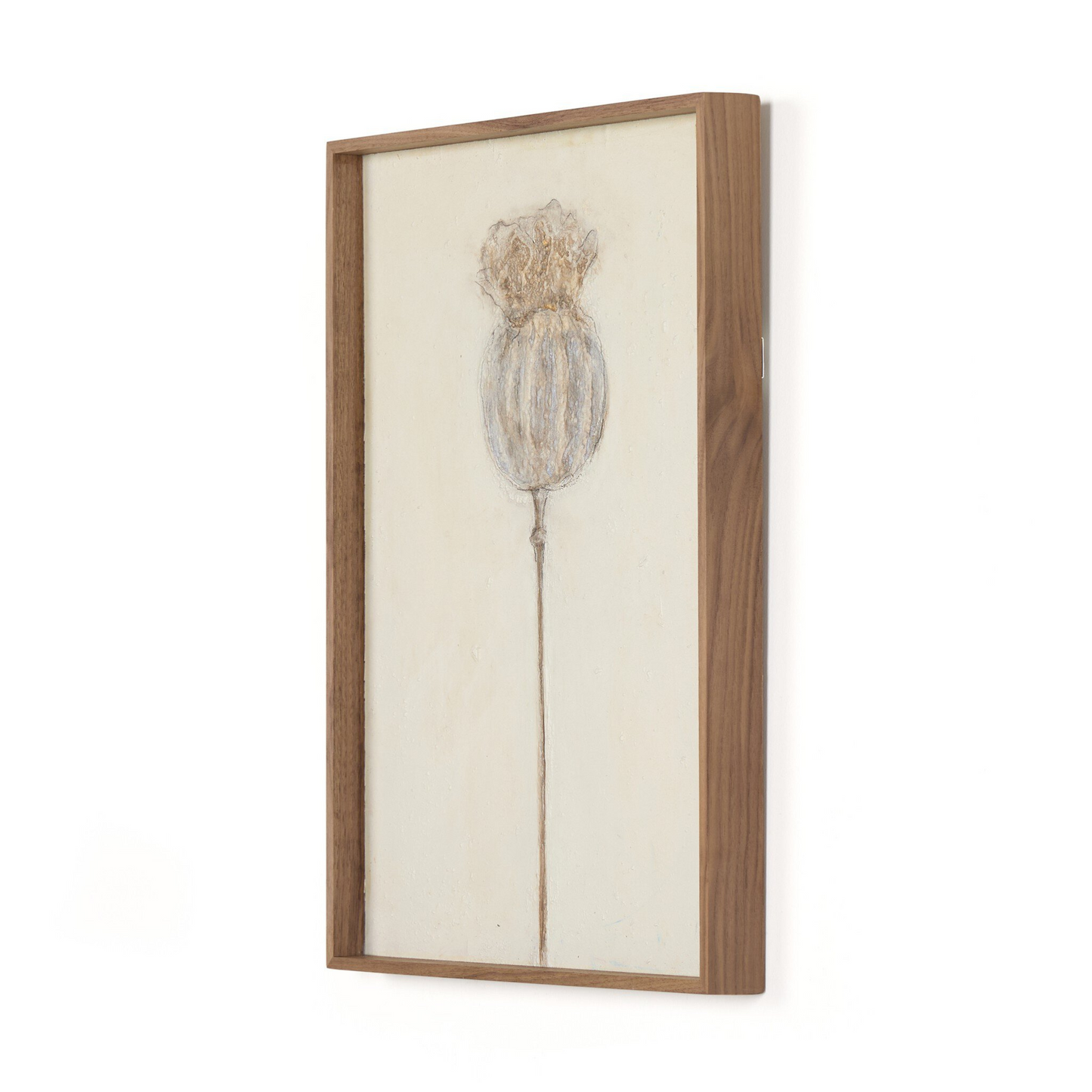 Poppy Crema par Paul Meyer