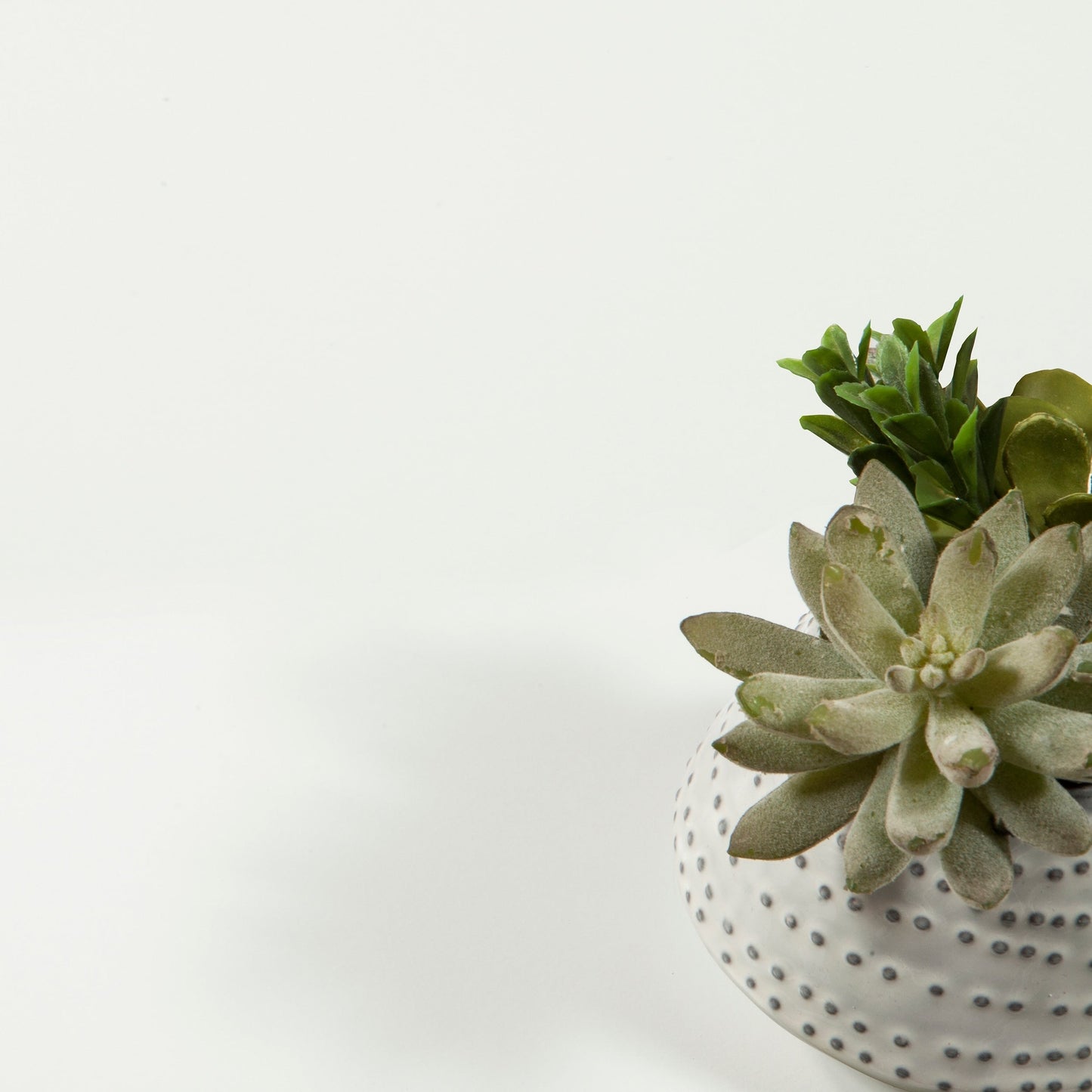 Commode double à 6 tiroirs Zoe de Porch &amp; Den