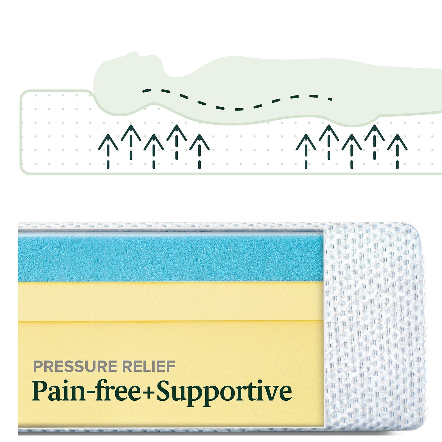 Matelas en mousse à mémoire de forme avec gel au thé vert de 8 pouces Priage de Zinus