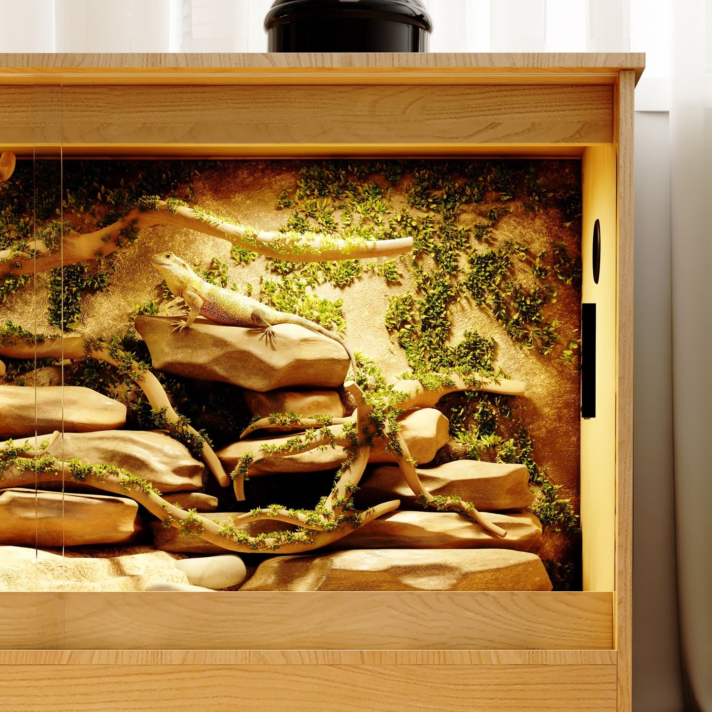 Habitat pour reptiles - Grand terrarium pour lézards, serpents et plus encore - 47.2