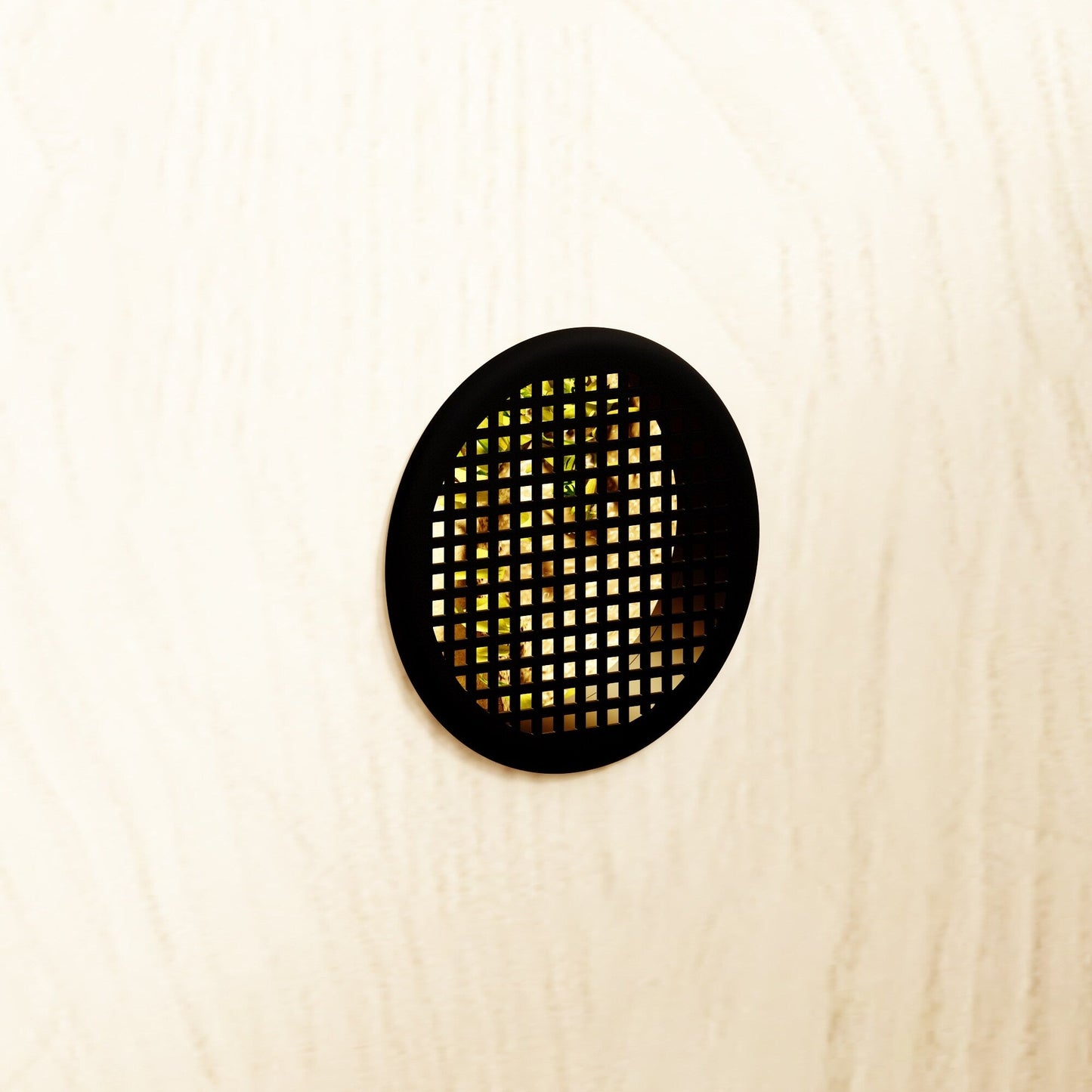 Habitat pour reptiles - Grand terrarium pour lézards, serpents et plus encore - 47.2