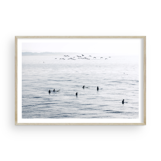 Surfers Flock by Caroline Pacula