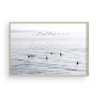 Surfers Flock by Caroline Pacula